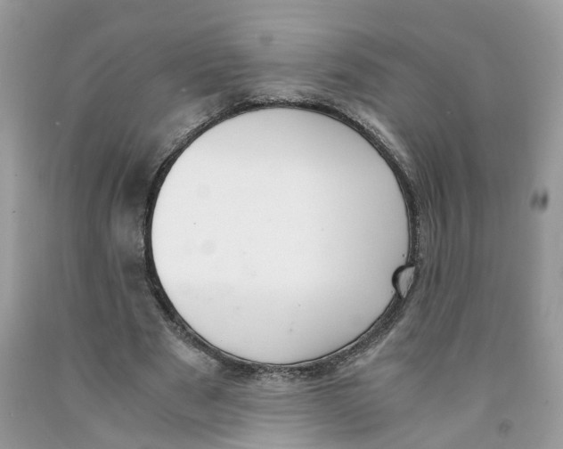 X0000091520489200709141418