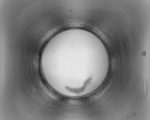 X0000091520490200709141418