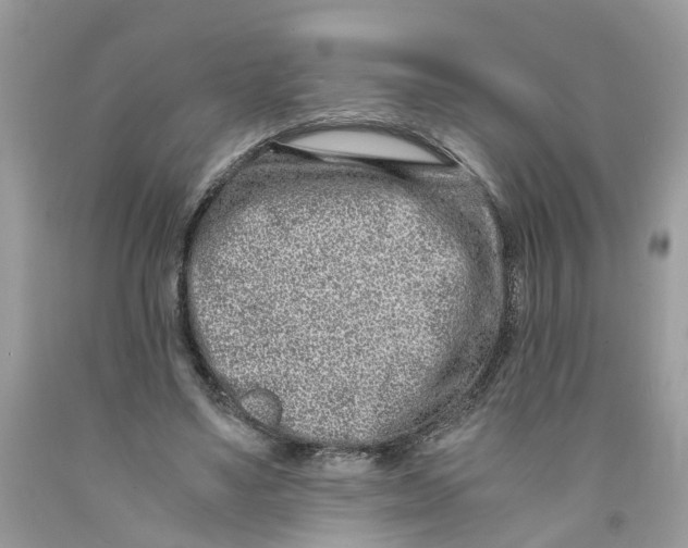 X0000091520491200709141418