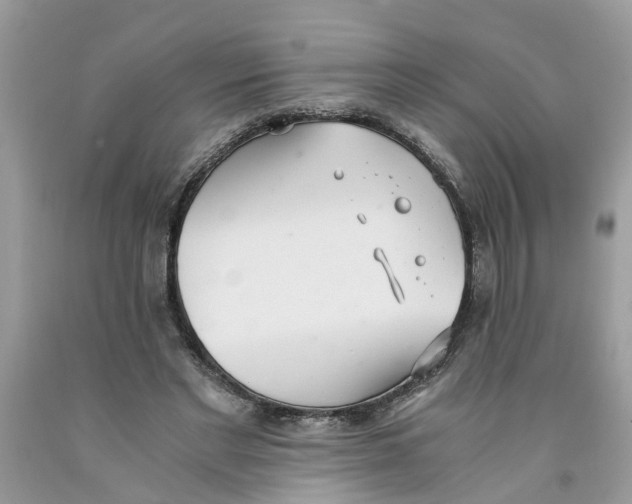 X0000091520493200709141418