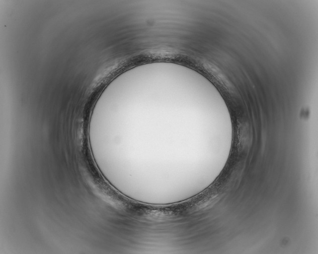 X0000091520494200709141418