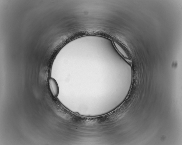 X0000091520495200709141418