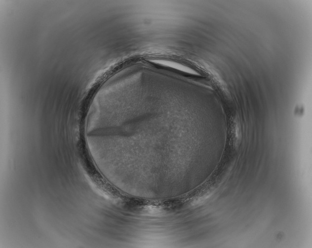 X0000091520496200709141418