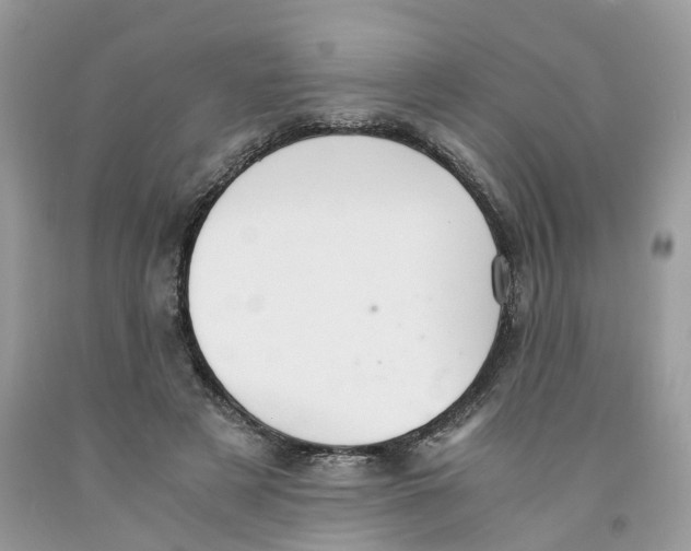 X0000091520497200709141418