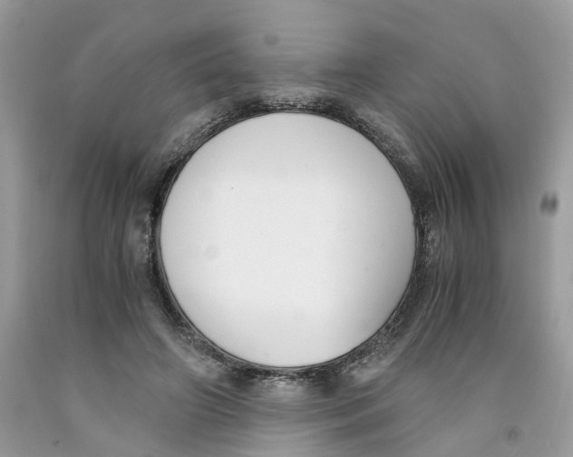 X0000091520498200709141418