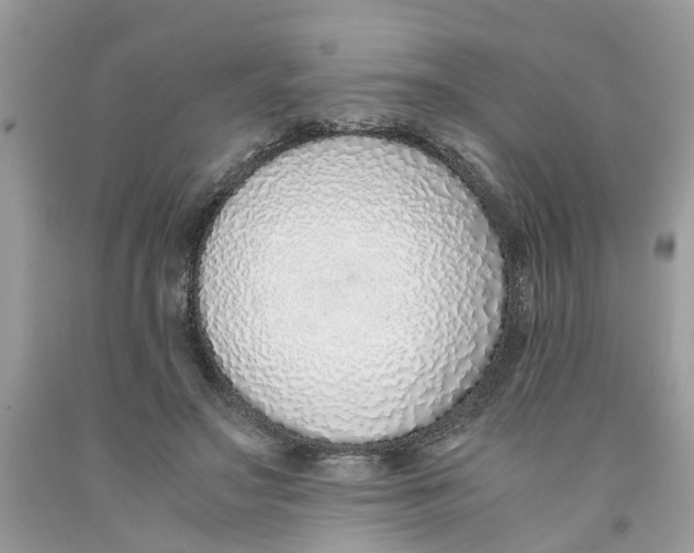 X0000091520499200709141418