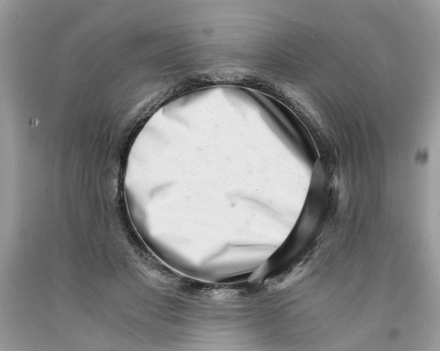 X0000091520501200709141418