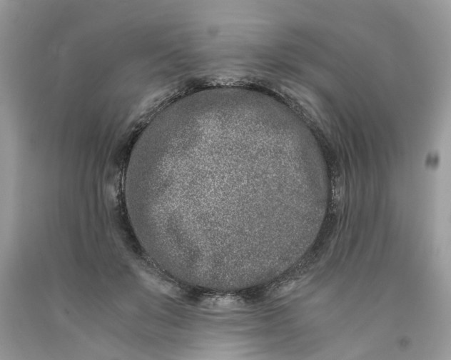 X0000091520503200709141418