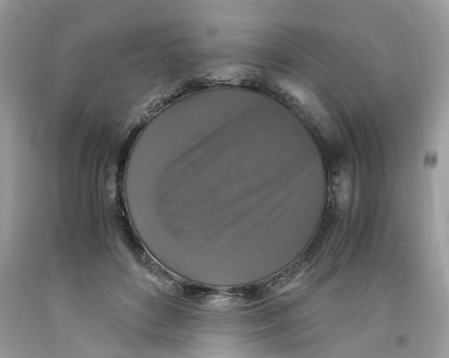 X0000091520504200709141418