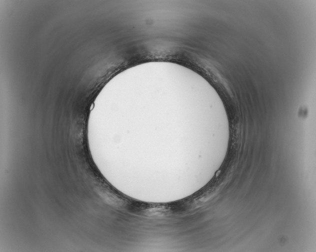 X0000091520505200709141417