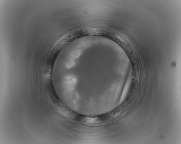 X0000091520507200709141417