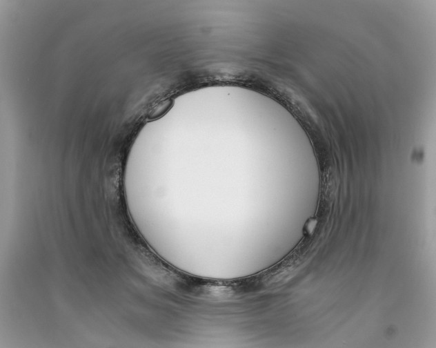 X0000091520509200709141417