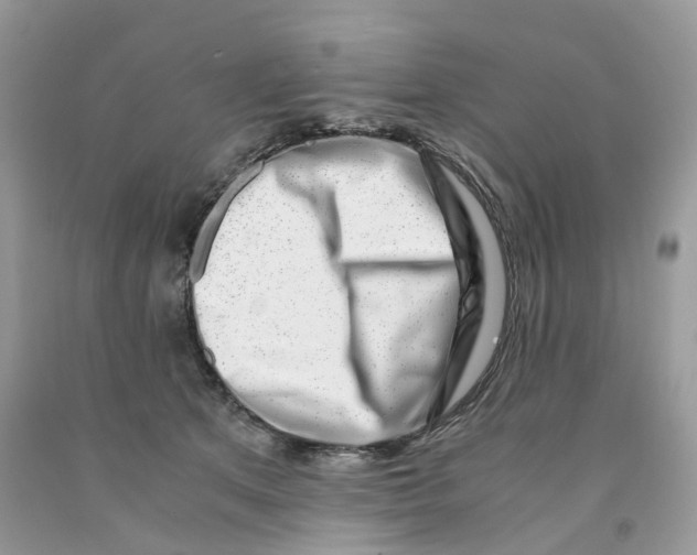 X0000091520513200709141417