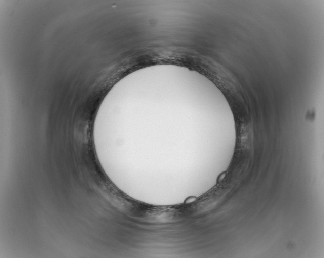 X0000091520514200709141417