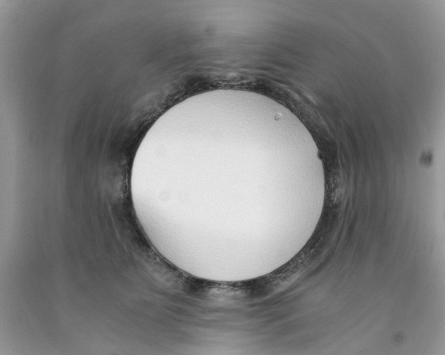 X0000091520515200709141417