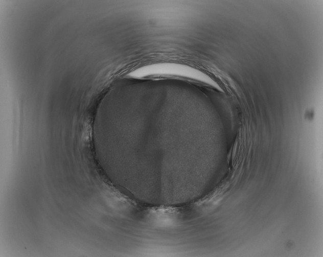 X0000091520517200709141417