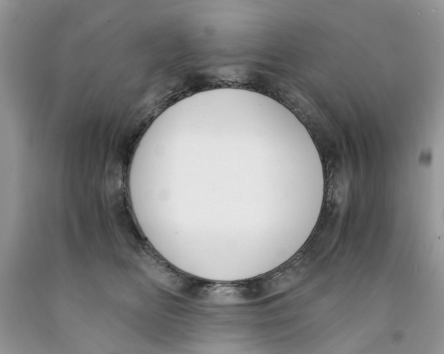 X0000091520518200709141417