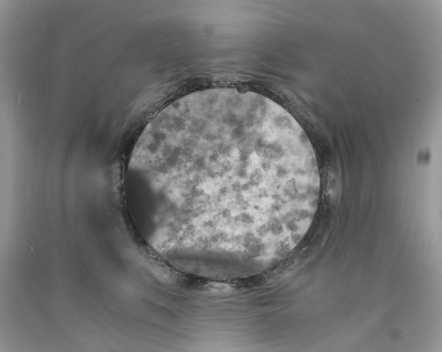 X0000091520519200709141417