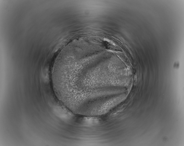 X0000091520520200709141417