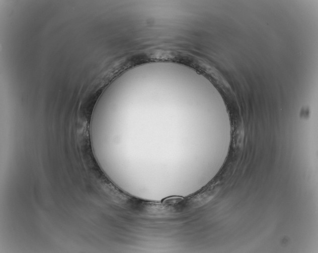 X0000091520521200709141417