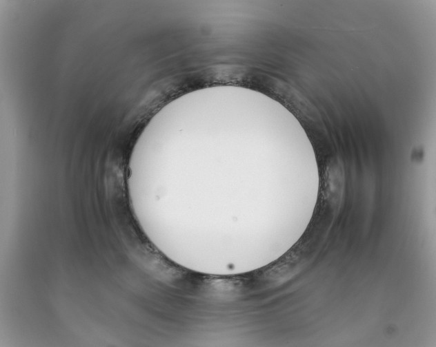 X0000091520522200709141417