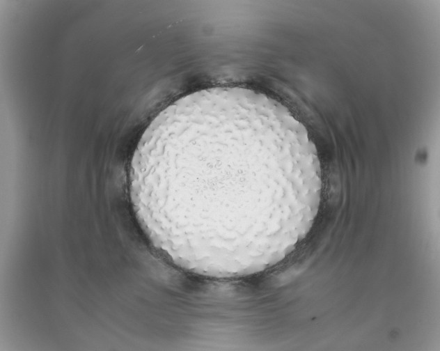 X0000091520523200709141417