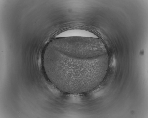 X0000091520524200709141417