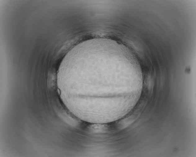 X0000091520526200709141417