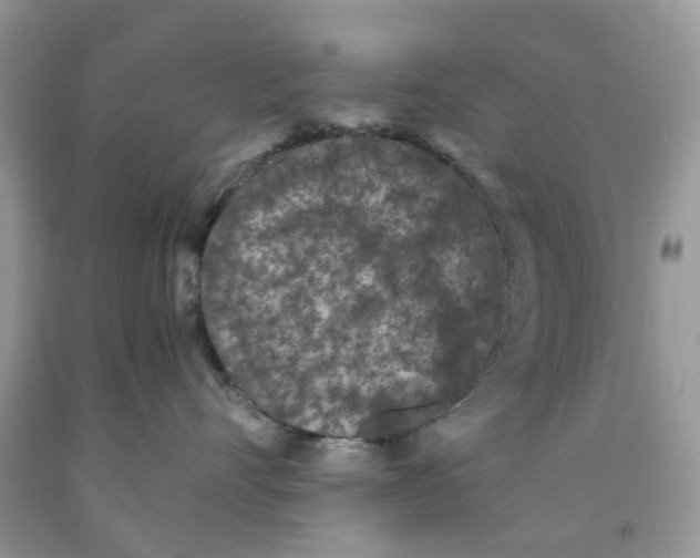 X0000091520528200709141417