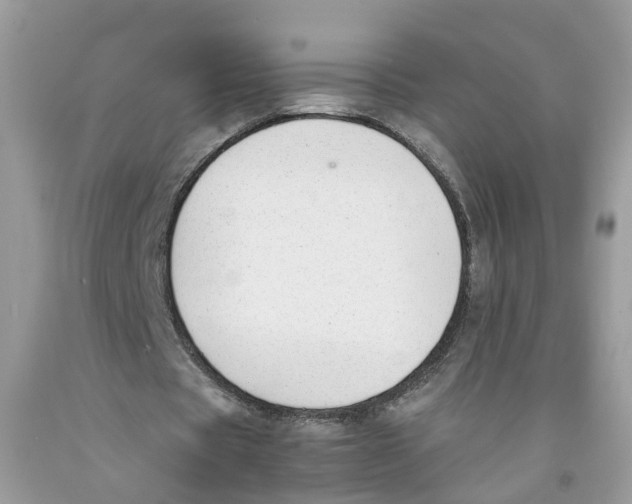 X0000091520529200709141417