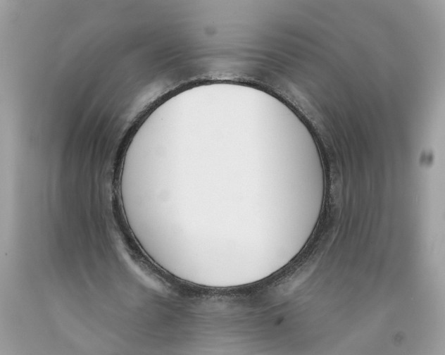 X0000091520530200709141417