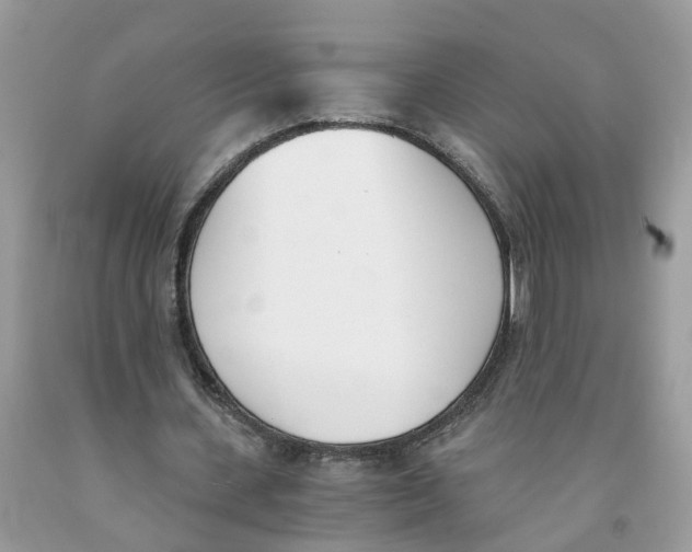 X0000091520531200709141417