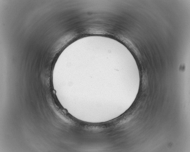 X0000091520533200709141417