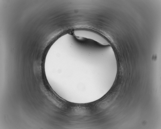 X0000091520535200709141417