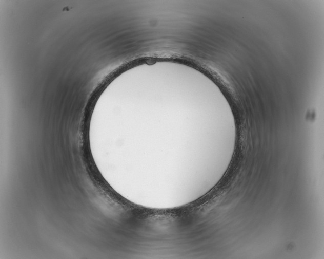 X0000091520536200709141417