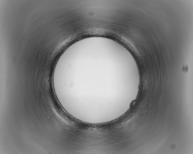 X0000091520538200709141417