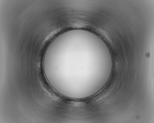 X0000091520539200709141417