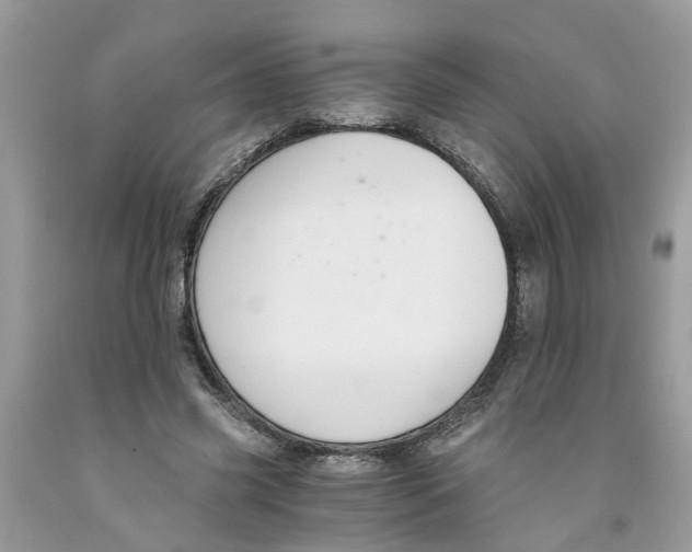 X0000091520541200709141417