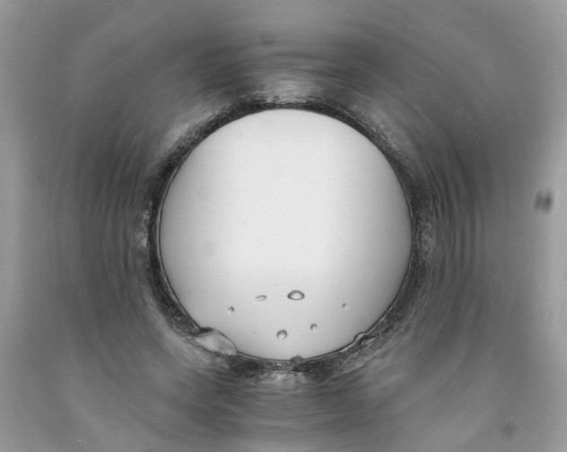 X0000091520543200709141417