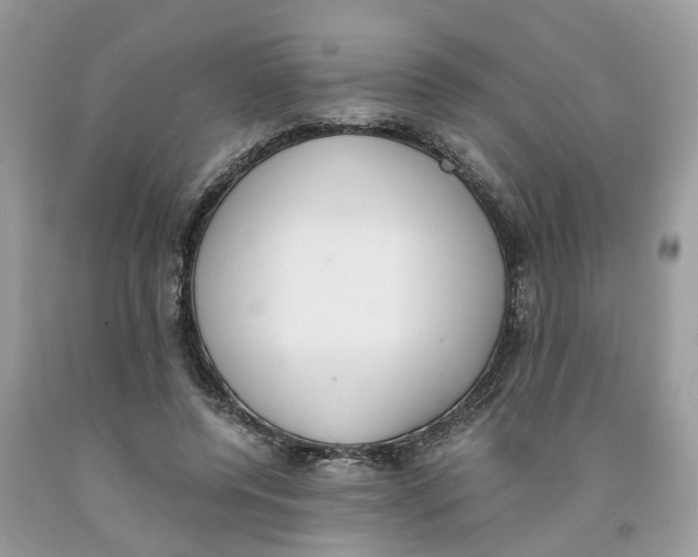 X0000091520544200709141417