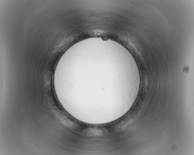 X0000091520545200709141417