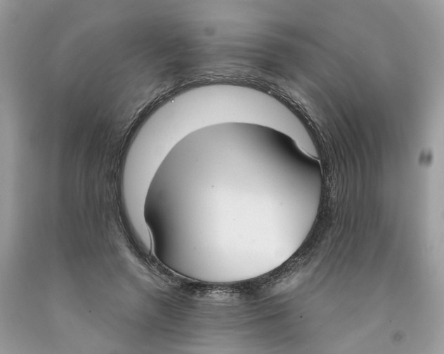 X0000091520546200709141417