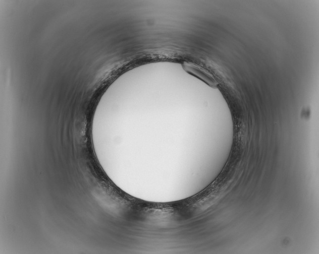 X0000091520548200709141417