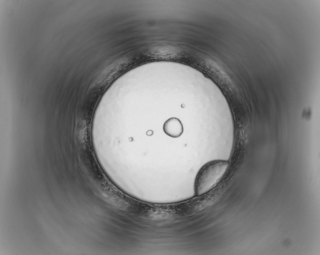 X0000091520549200709141417