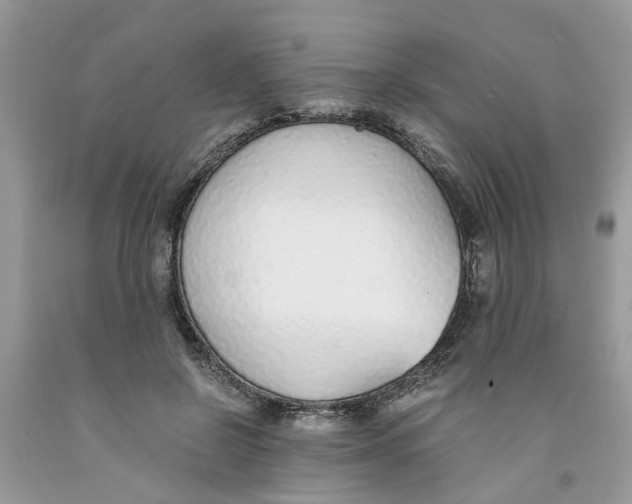 X0000091520550200709141417