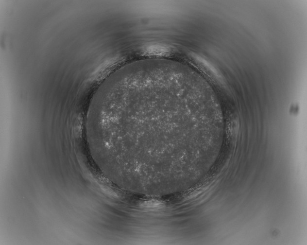 X0000091520551200709141417