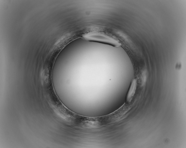 X0000091520552200709141417