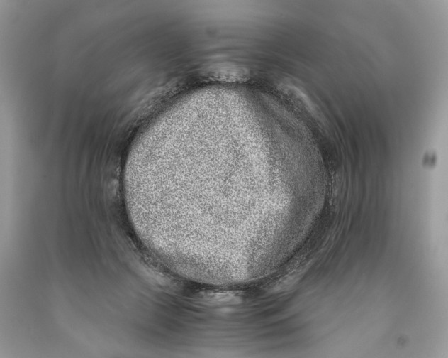 X0000091520553200709141417