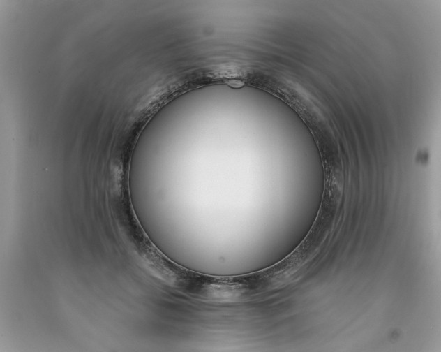 X0000091520556200709141417