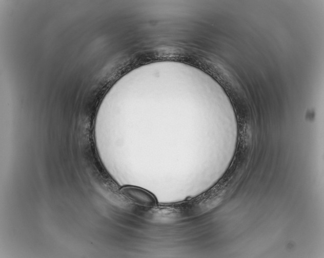 X0000091520557200709141417